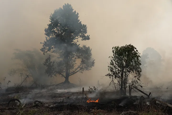 El Nino makin kuat, 95 ribu hektare lahan di Indonesia terbakar sepanjang Juli