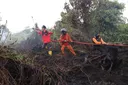 BNPB padamkan hampir 3.800 hektare karhutla di Sumatera dan Kalimantan