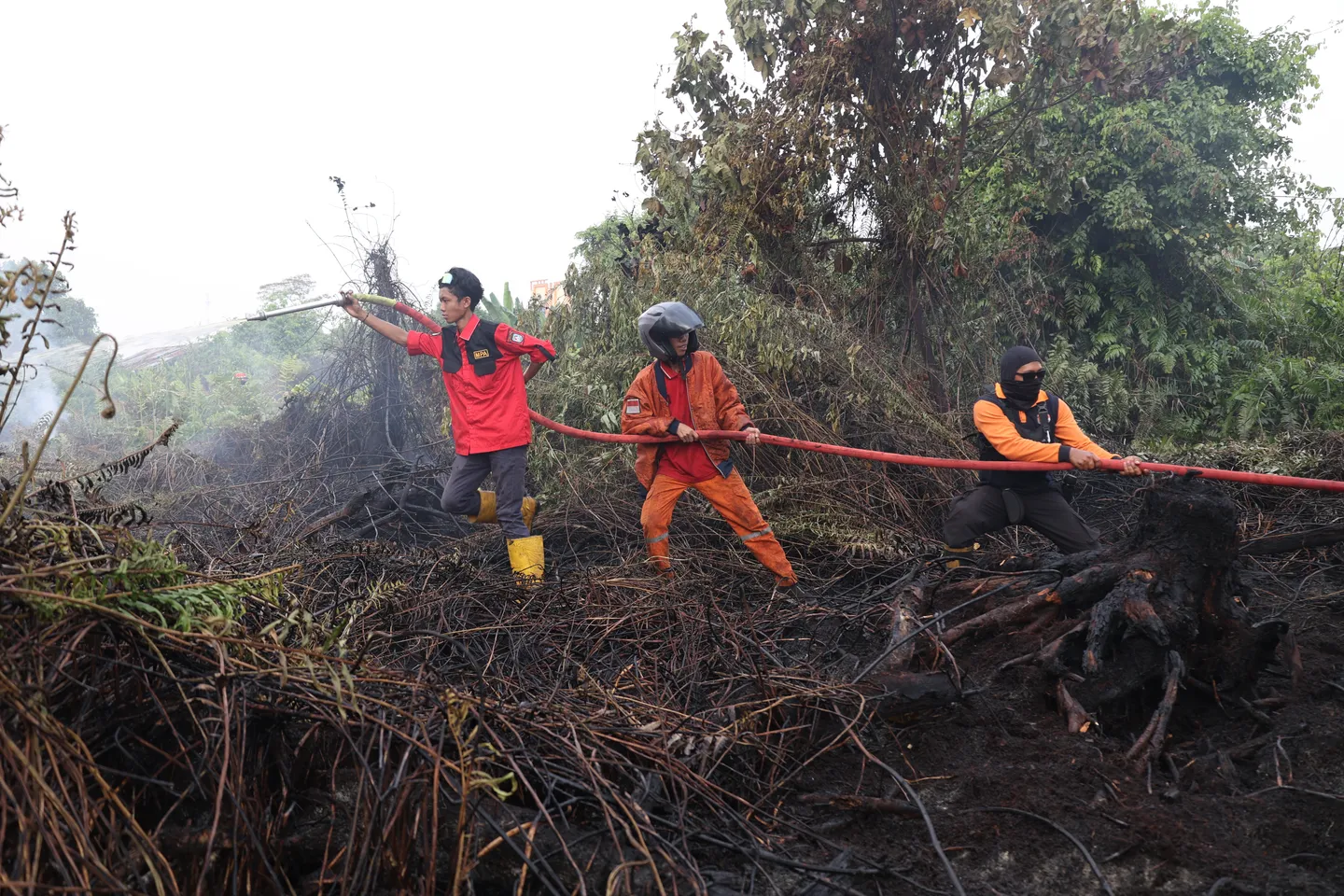 BNPB padamkan hampir 3.800 hektare karhutla di Sumatera dan Kalimantan