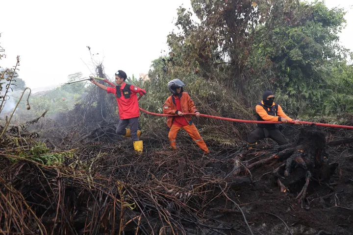 BNPB padamkan hampir 3.800 hektare karhutla di Sumatera dan Kalimantan