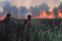 Puncak El Nino pada September, pemerintah siaga hadapi eskalasi karhutla di 6 provinsi