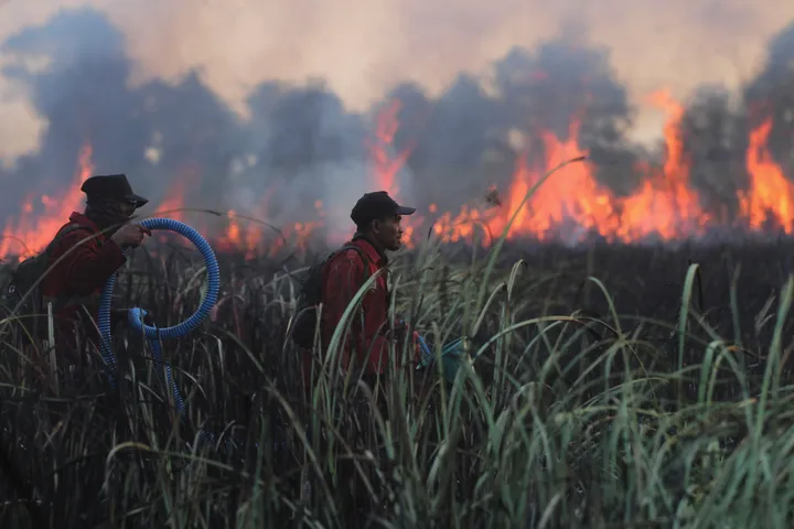 Puncak El Nino pada September, pemerintah siaga hadapi eskalasi karhutla di 6 provinsi