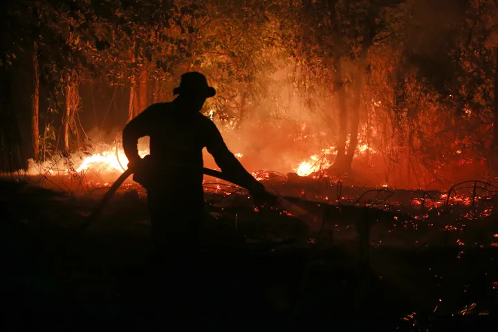 El Nino heat could cause nearly 450,000 extra deaths by February, study warns