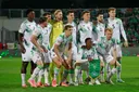 Irish football players to wear black armbands during Israel match in solidarity with Gaza