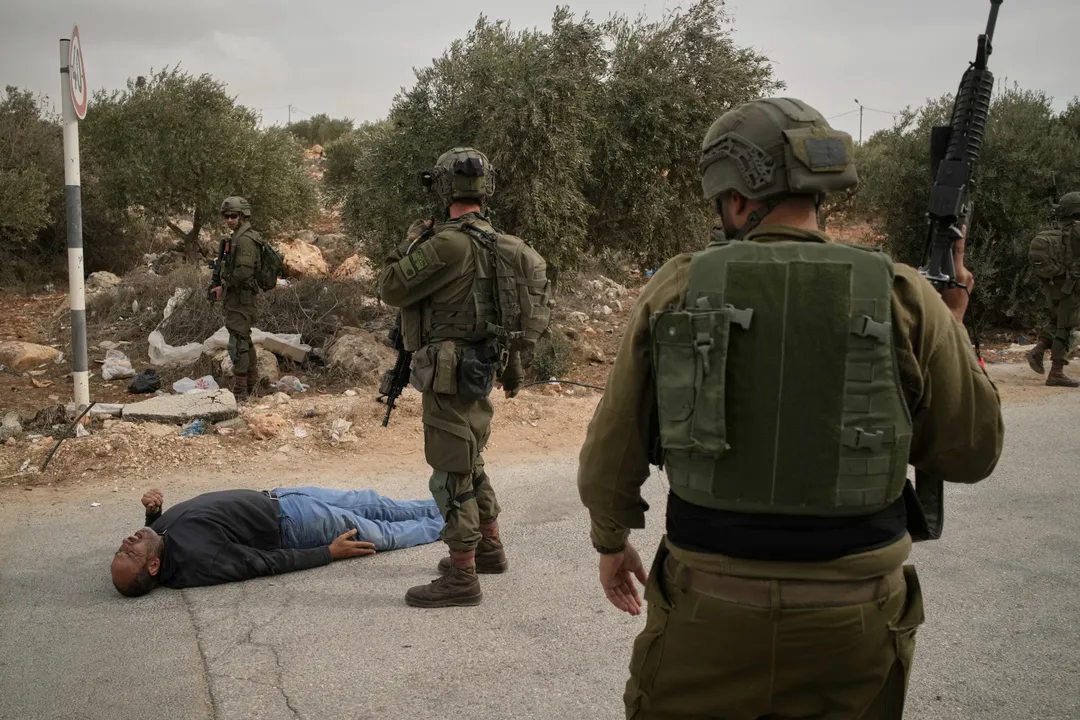 Illegal Israeli settlers mount more olive harvest attacks in occupied West Bank