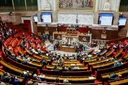 Францускиот Парламент ја одобри еутаназијата