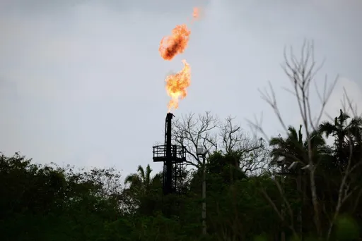 Germany launch plan to helep Nigeria tackle $1.5bn yearly gas flaring loss