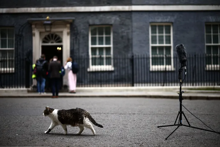 Sieben Regierungschefs in zehn Jahren: Die chaotische Dekade in Großbritannien
