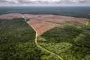 Pemerintah tetapkan 5,67 juta hektare hutan untuk pangan, energi hijau dan jasa lingkungan