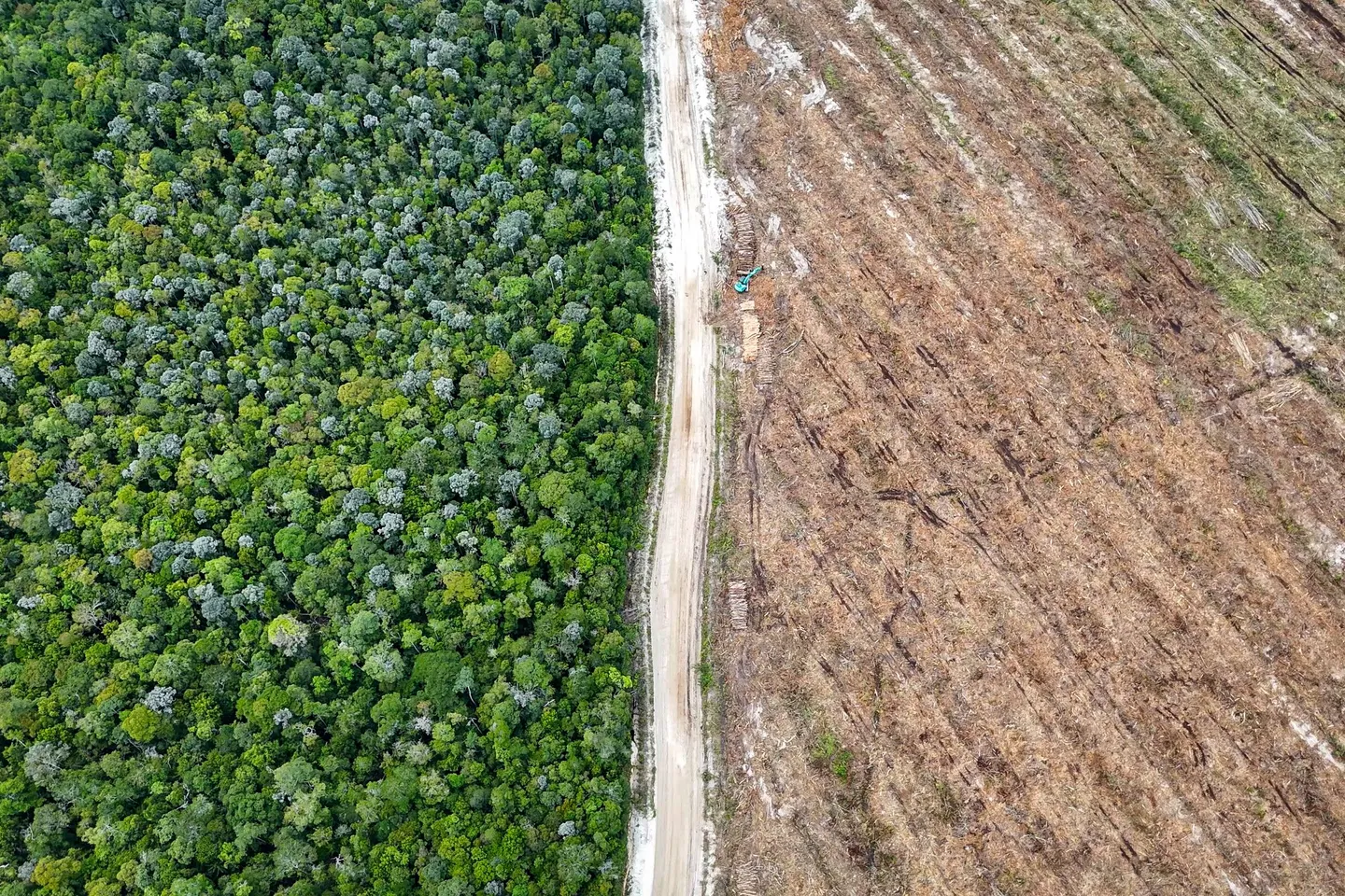 Pemerintah kejar pemulihan 12,3 juta hektare lahan kritis di tengah ancaman El Nino