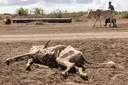 Nigeria dey call for ogbonge drought management system for COP17