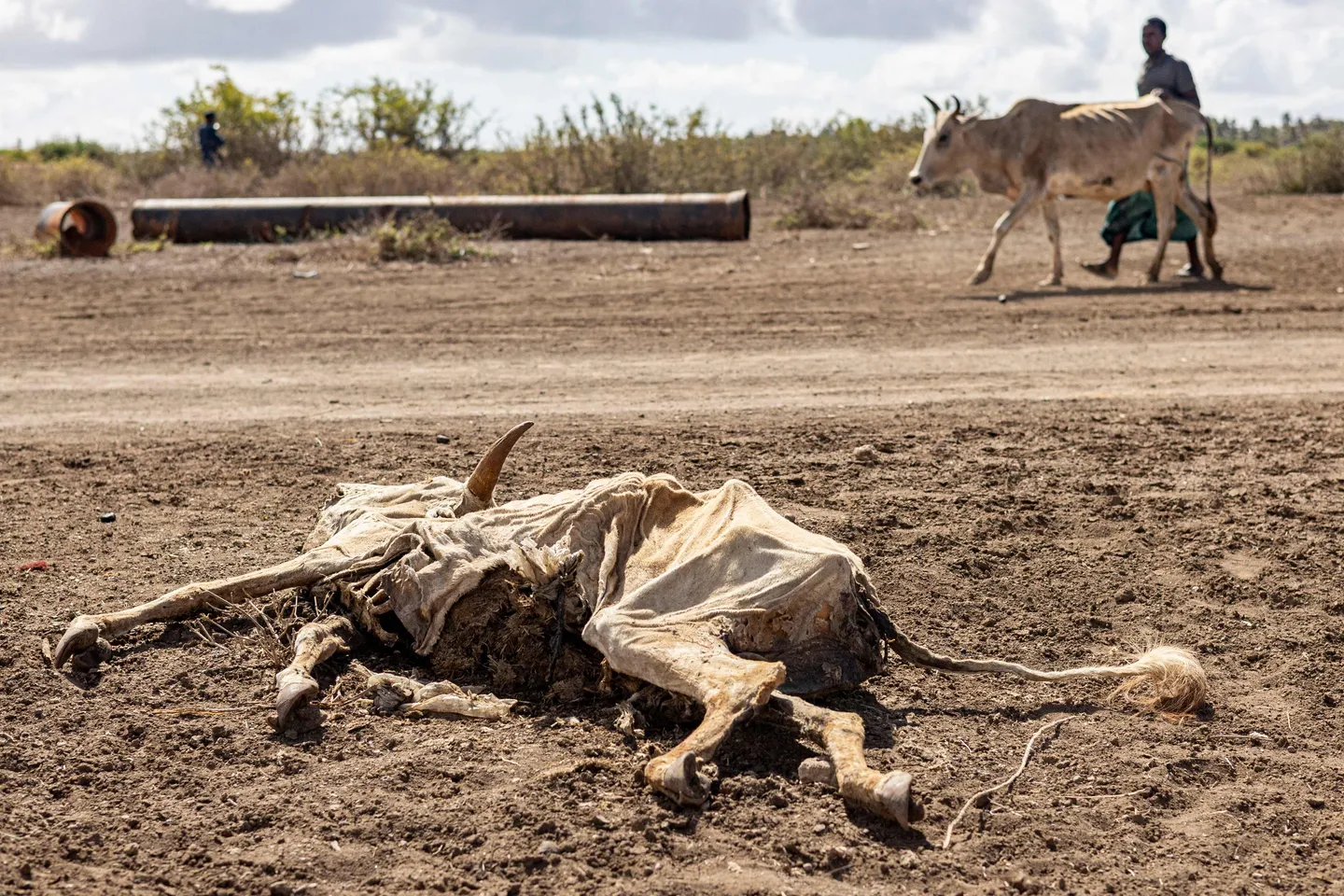Nigeria dey call for ogbonge drought management system for COP17