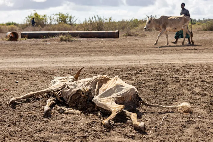 Nigeria dey call for ogbonge drought management system for COP17