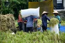 Pemerintah siapkan 1 juta ton beras bagi 33,2 juta warga