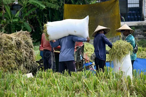 Pemerintah siapkan 1 juta ton beras bagi 33,2 juta warga