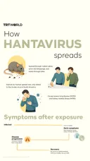 How hantavirus spreads