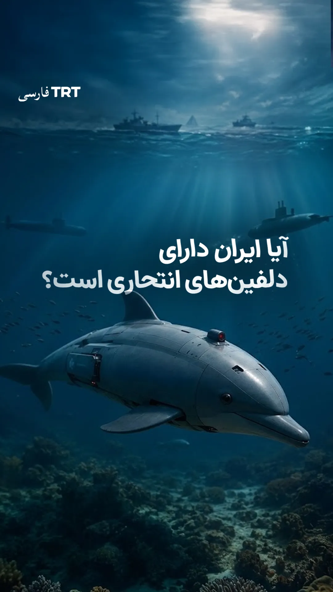 آیا ایران دارای دلفینهای انتحاری است؟