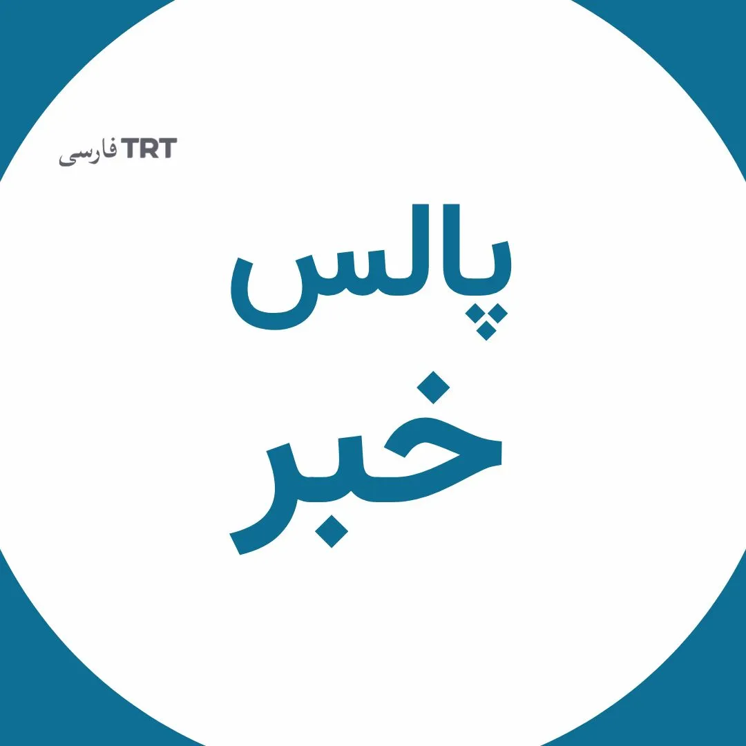پالس خبر | ۱۸ مه