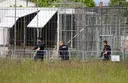 Nach Tiger-Ausbruch: Peta fordert Konsequenzen