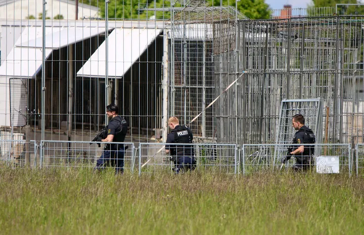 Nach Tiger-Ausbruch: Peta fordert Konsequenzen