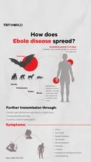 How does Ebola disease spread?