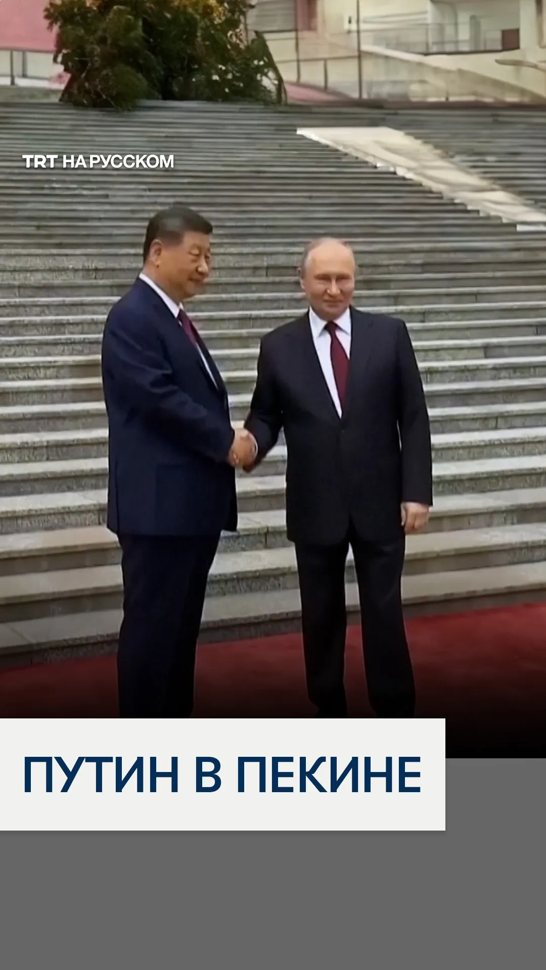 Путин и Си Цзиньпин проводят переговоры в Пекине