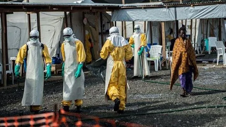 Sulm ndaj qendrës së Ebolës në RD të Kongos, digjen tendat dhe zhduken 13 pacientë