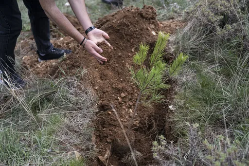 Të diplomuarit e shkollave Medrese nga Türkiye do të mbjellin fidanë në Kosovë dhe Shqipëri