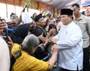 Presiden Prabowo salurkan 1.098 sapi kurban ke berbagai daerah, dorong peternak lokal