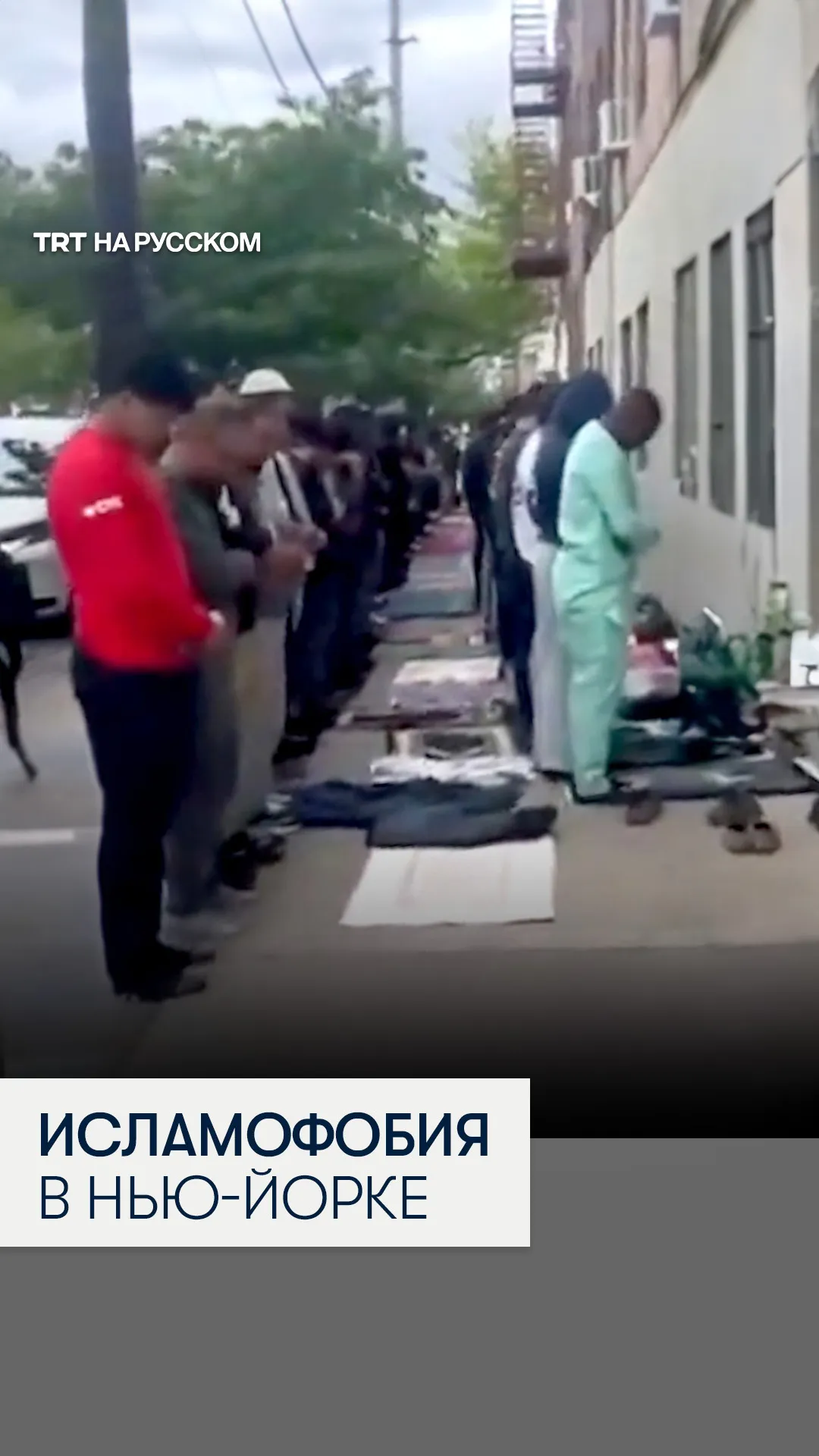 В Нью-Йорке разгорелся скандал из-за антимусульманского видео политика