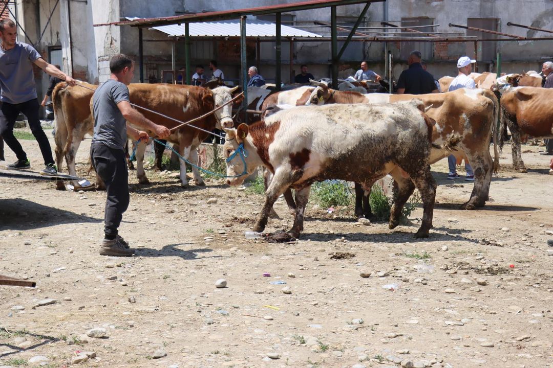 Në vendet e Ballkanit vazhdojnë përgatitjet për Bajramin e Kurbanit