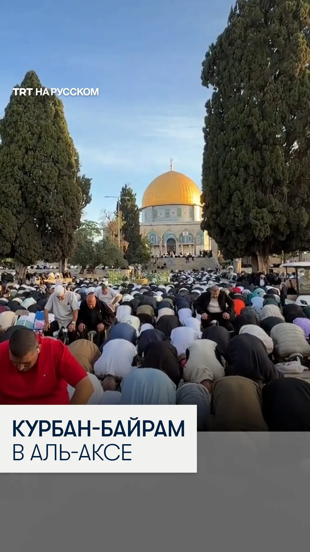 Мусульмане встретили Курбан-байрам молитвой в комплексе Аль-Акса