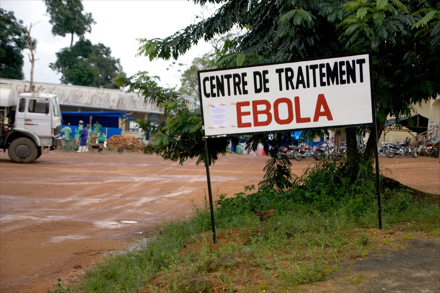 Wegen Ebola: WM-Gastgeber kündigen Einreiseverbot an