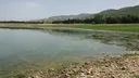 Ushtria izraelite kalon lumin Litani dhe arrin në periferi të qytetit Nabatieh