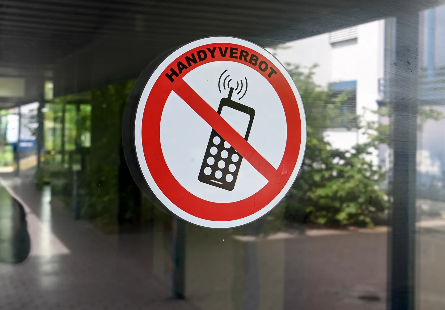 Bildungsexperten für Social Media-Verbot an Grundschulen