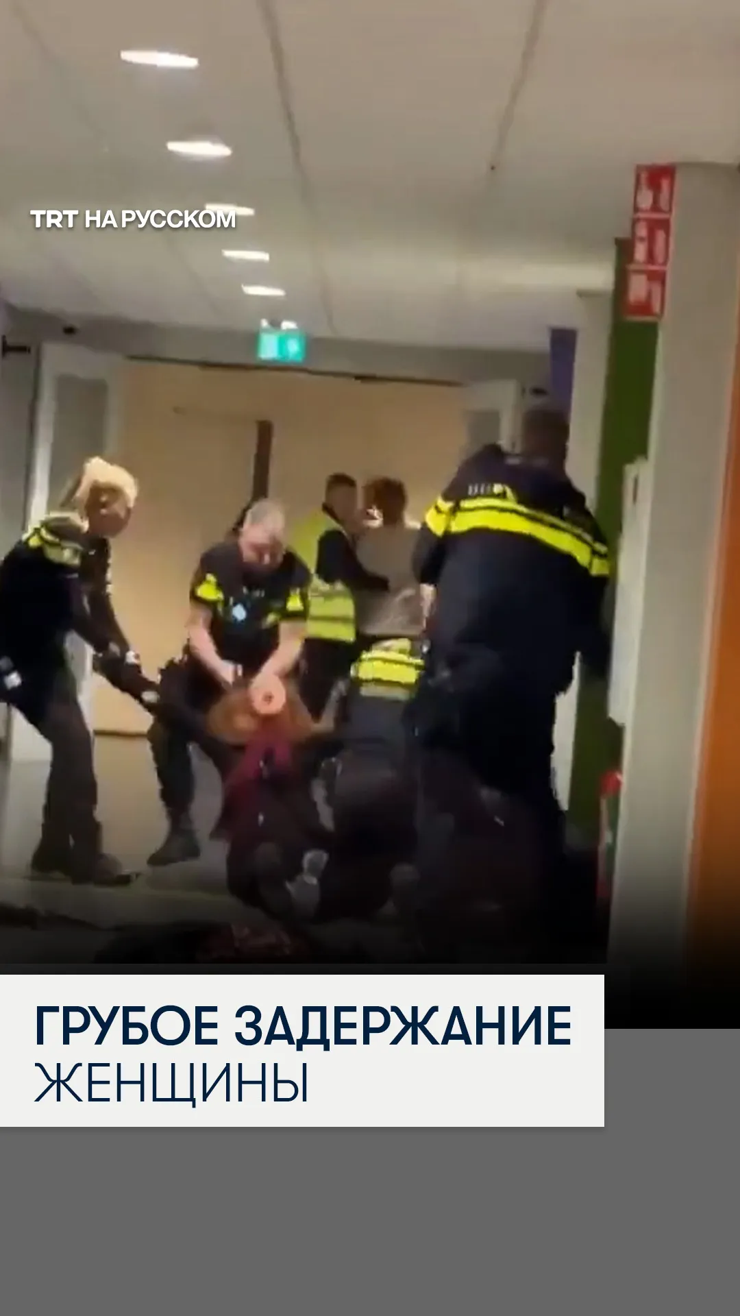 Голландская полиция применила грубую силу к женщине во время попытки ареста