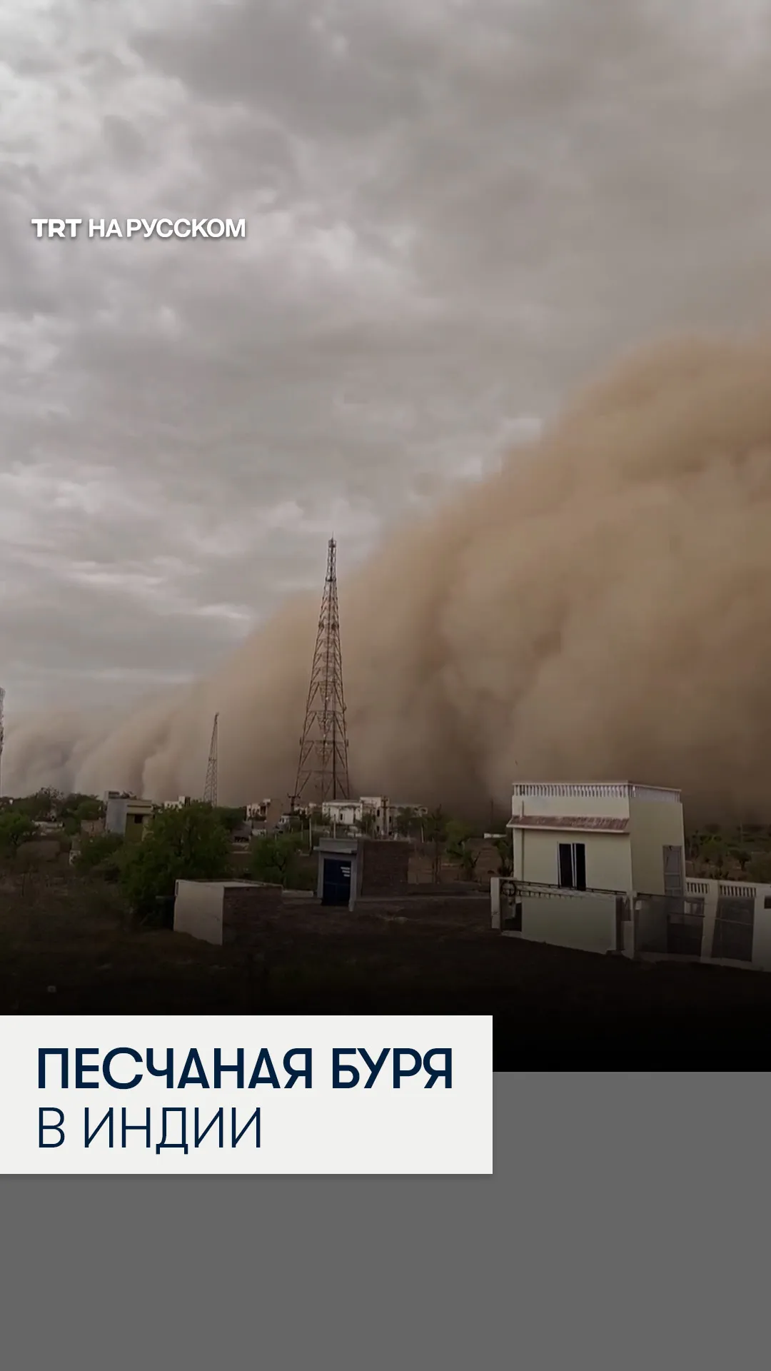 Индию накрыла мощная песчаная буря