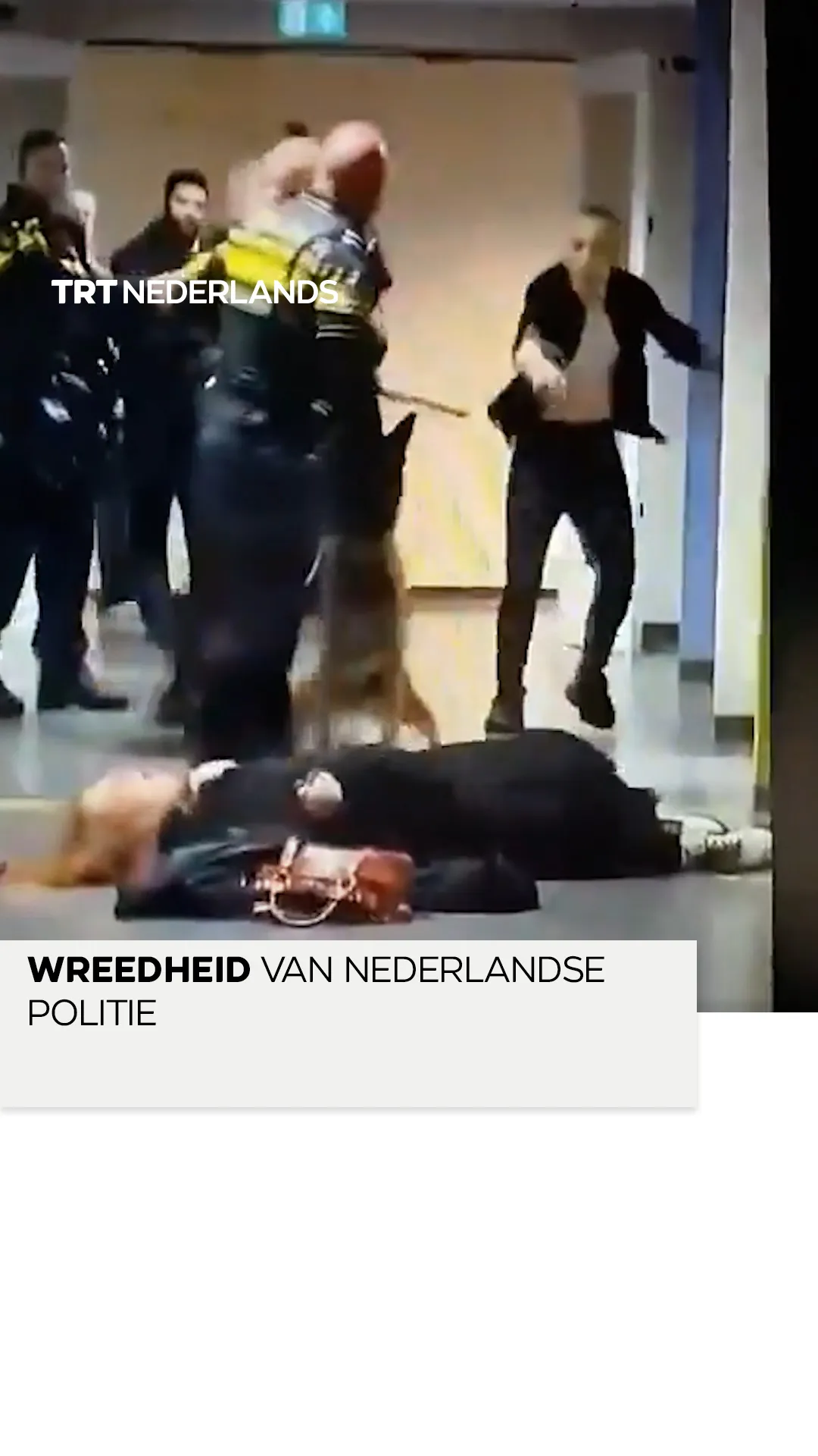 Politie gebruikt brutaal geweld tegen vrouw tijdens poging voor arrestatie in asielzoekerscentrum