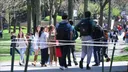 Belgjika prezanton rregulla më të rrepta për studentët e huaj