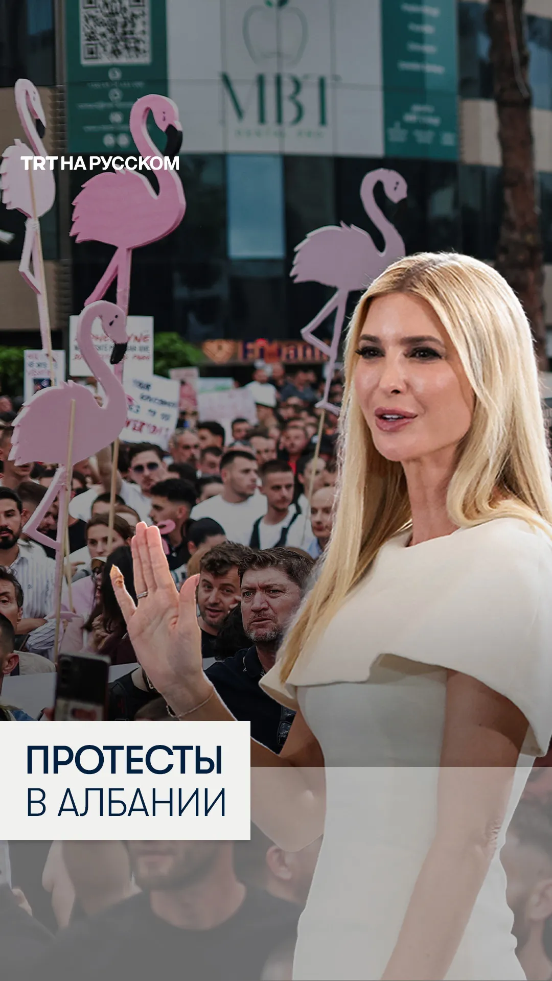 В Албании вспыхнули массовые протесты против строительства курорта на Адриатическом побережье