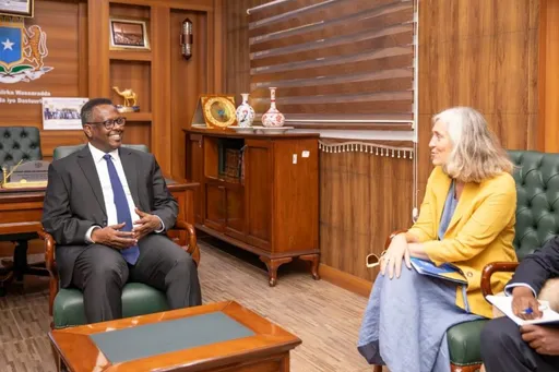 Wasiirka Cadaaladda XFS oo La Kulmay EU iyo UNDP Kalana Hadlay Horumarinta Nidaamka Cadaaladda