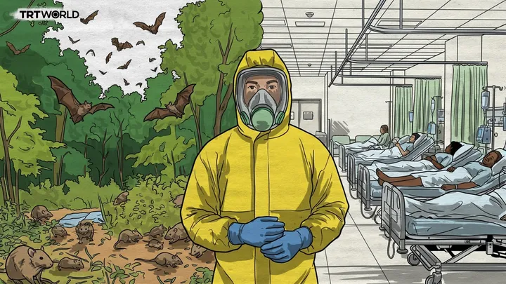 Where’s the Ebola virus hiding and the years-long hunt to find the animal spreading it