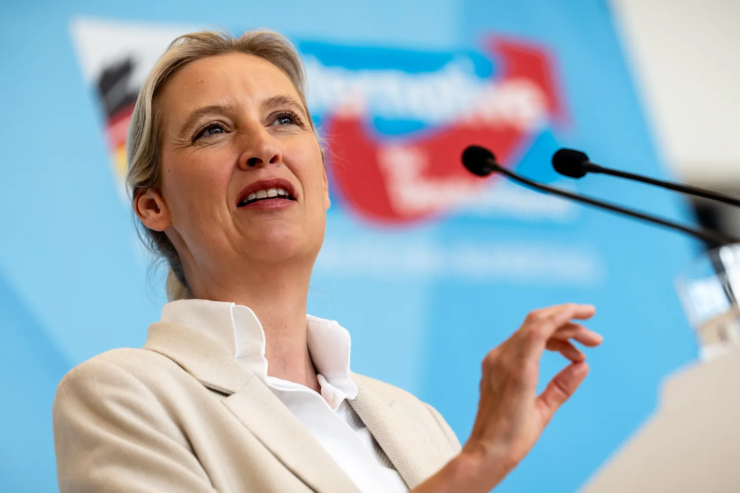 Weidel nennt Merz erneut „Lügenkanzler“
