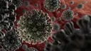 С помощью ИИ изобретена универсальная вакцина от всех штаммов сразу