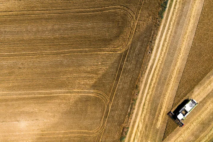 Aanhoudende hitte en droogte zetten gewassen en voedervoorraden onder druk: Europese Commissie