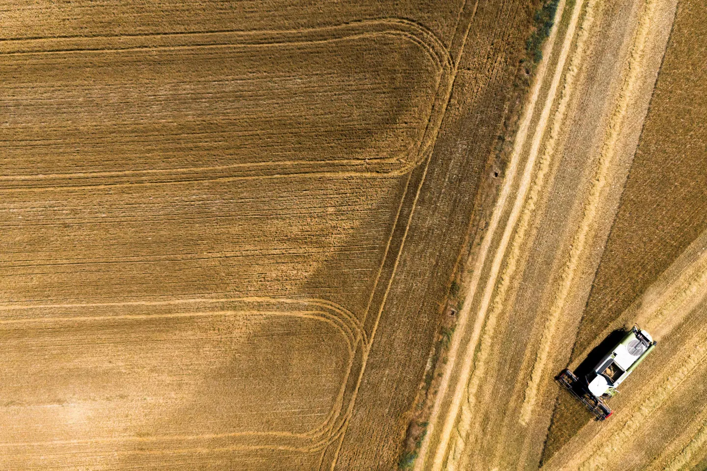 Aanhoudende hitte en droogte zetten gewassen en voedervoorraden onder druk: Europese Commissie