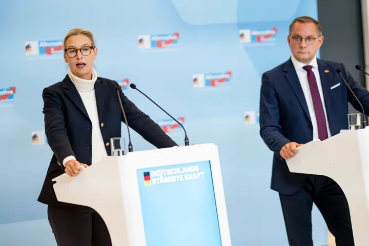AfD festigt in Umfragen Vorsprung vor Union