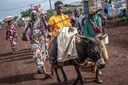 Nearly 20,000 people 'displaced' by escalating fighting in Sudan's Blue Nile