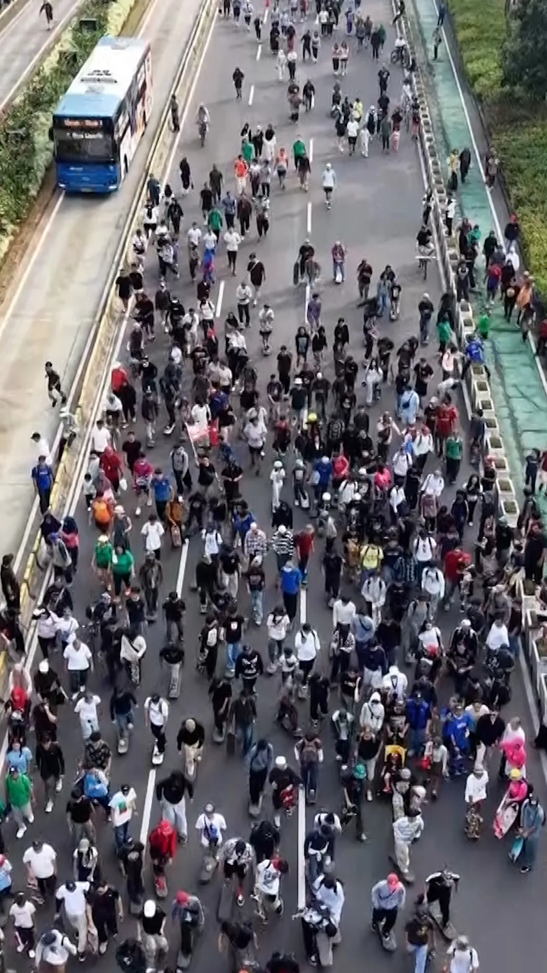 Ratusan warga rayakan hari Skateboard dunia di Jakarta