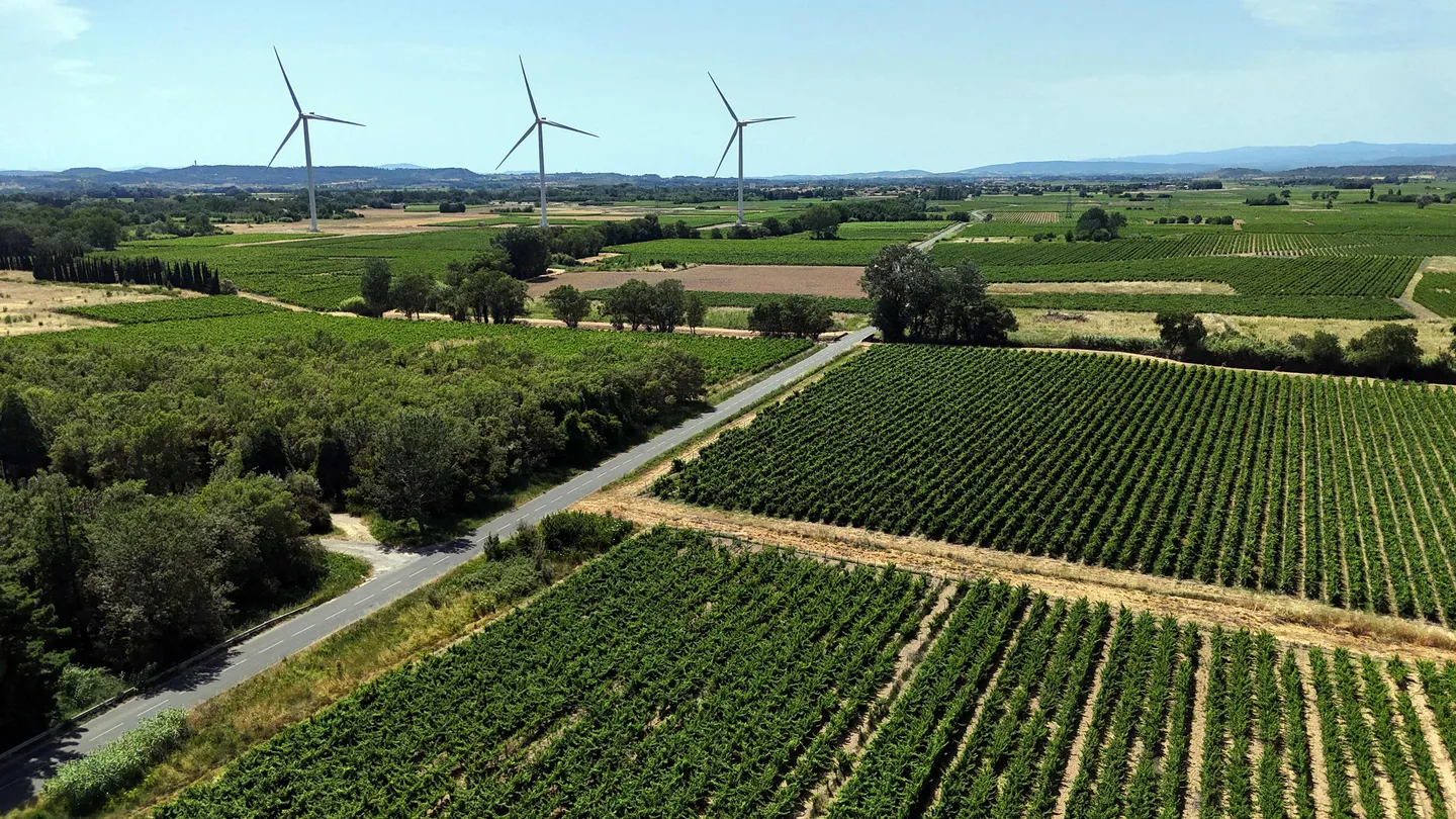 Canicule: l'économie et l'agriculture françaises paient le prix fort de la chaleur